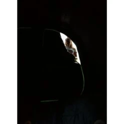 Coleman Valdes Deluxe 4xl Air Blackout Tent -Camping Sales Store 2000037563 16